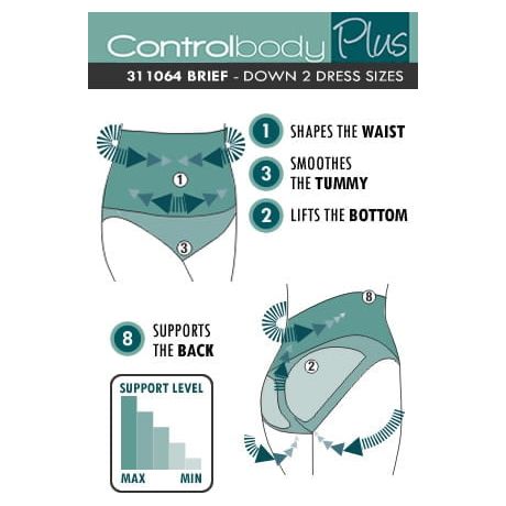 Control Body 311064 Shaping Briefs